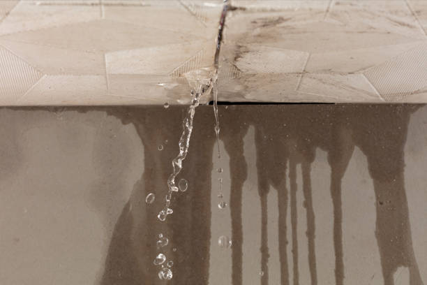 Professional Structural Drying technician working in Hempstead, TX